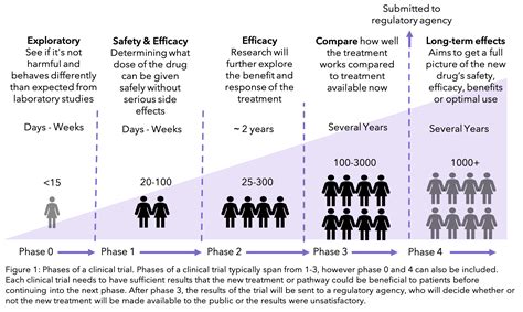 Phases Of Clinical Trials Chart