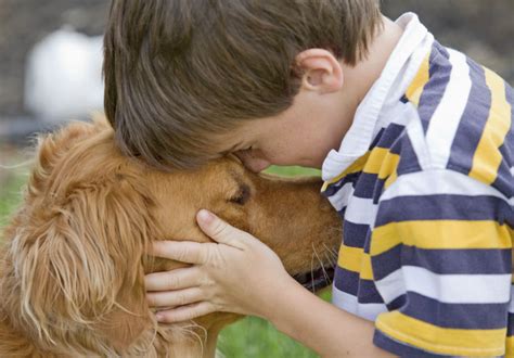 Los Beneficios Del Vínculo Entre Niños Y Animales De Compañía