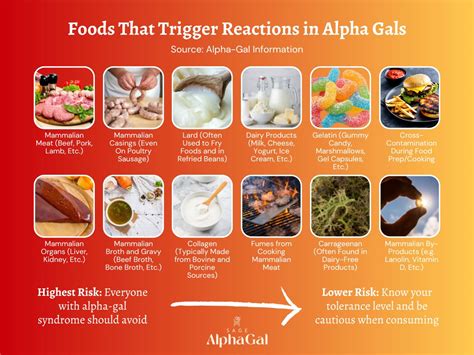 Alpha Gal Food List Allergy Friendly Options For Alpha Gals