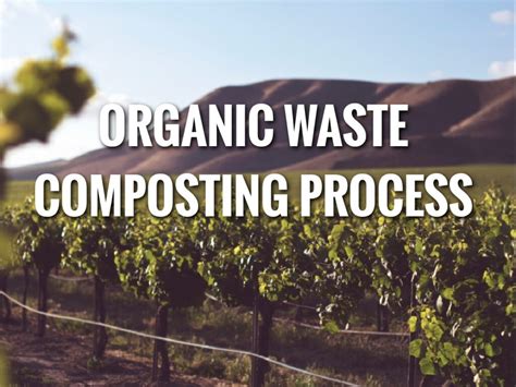 Organic Waste Composting Process Ecepl