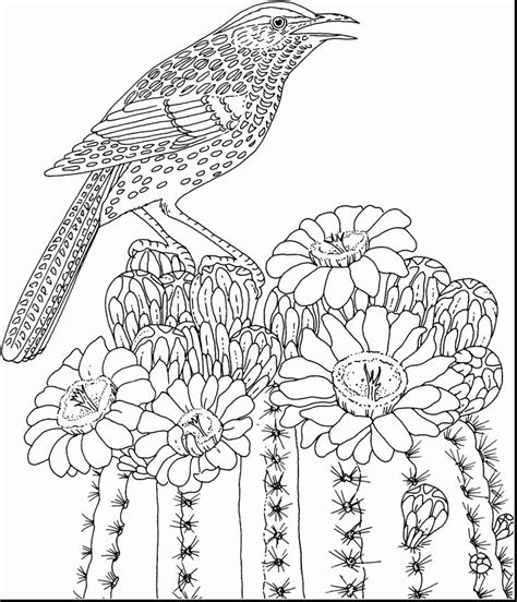 spring coloring sheets  adults flores  colorir paginas  colorir adult coloring pages