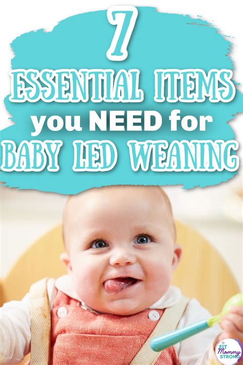 7 Essential Items For Baby Led Weaning Baby Led Weaning Led Weaning