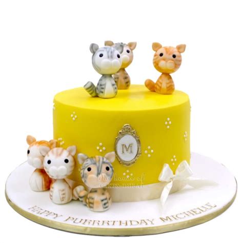 Cake With Cats 3 Cakes For Girls Best Cakes In Dubai