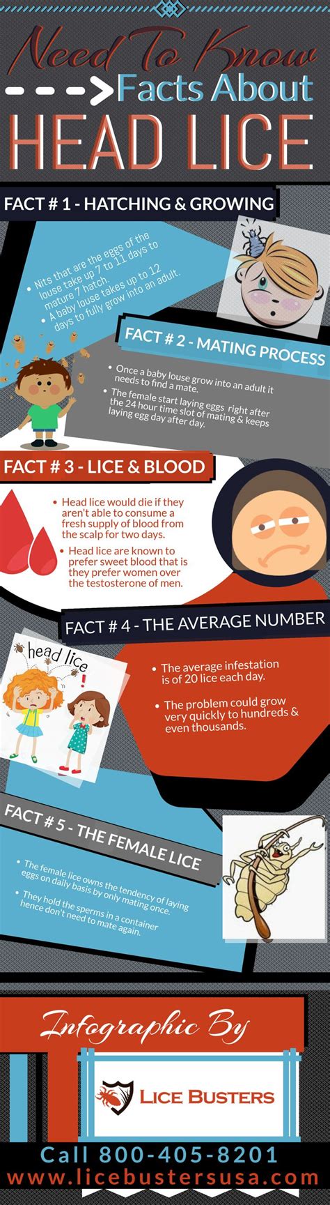 Check Out The Infographic On “facts Need To Know About Head Lice” Call