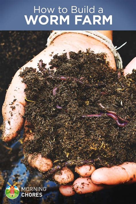 How To Build A Worm Farm At Home And Monetize It For