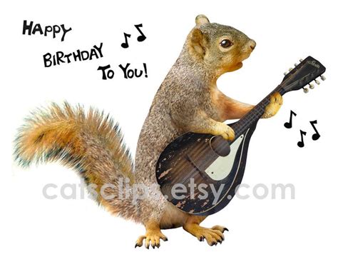 Singing Squirrel Playing Mandolin Printable Birthday Card Etsy