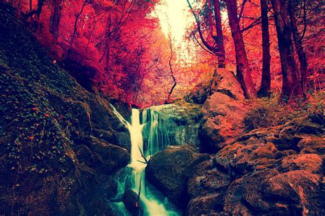 4k Free Download Autumn Forest Waterfall Red Trees Waterfall