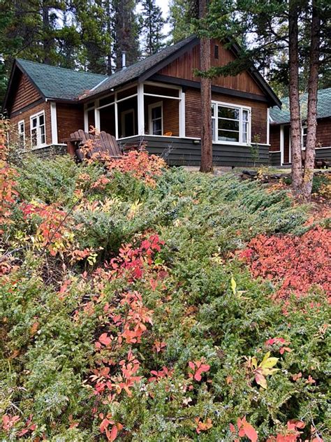 Johnston Canyon Lodge And Bungalows Updated 2023 Prices Reviews