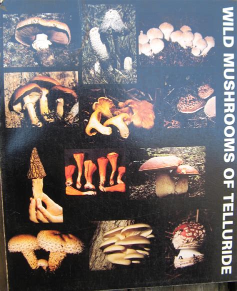 Gary Lincoff Wild Mushrooms Of Telluride
