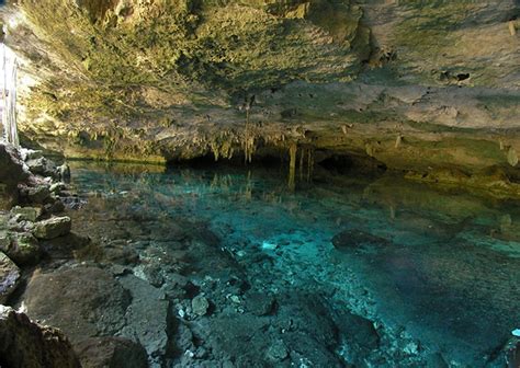 ¿por Qué Visitar Los Increíbles Cenotes De La Riviera Maya Aquaworld