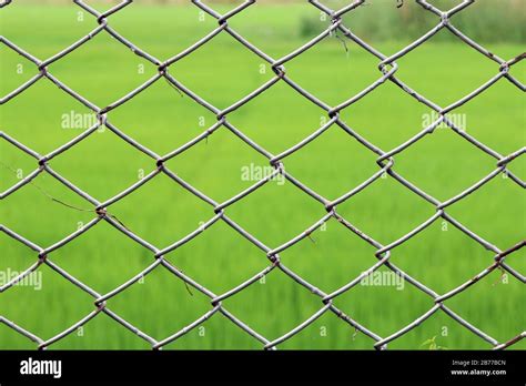 Metal Netting Mesh Fence Iron Rusty Barbed Wire Detention Center