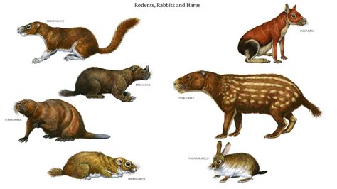 Small Prehistoric Mammals Pets Lovers
