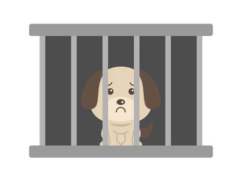 Best Animal Shelter Illustrations Royalty Free Vector Graphics And Clip
