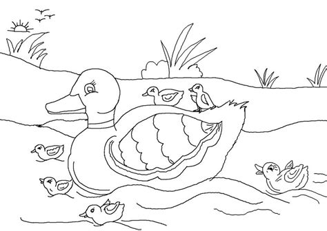 Flashcards alphabet worksheets stories games puzzles riddles&jokes coloring pages links contact. Ugly duckling_4