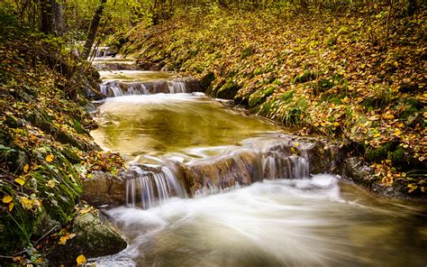 Waterfall Stream Forest Timelapse Trees River Autumn