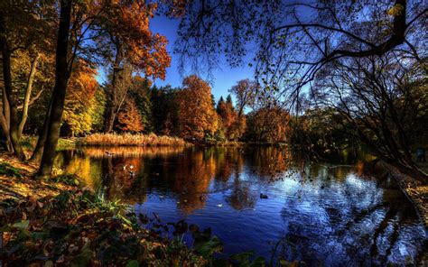 壁纸 阳光 景观 森林 湖 性质 反射 早上 河 荒野 池塘 流 湿地 树 秋季 叶 厂 季节 溪