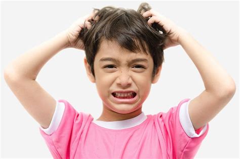 Jangan Panik 5 Cara Atasi Kutu Rambut Pada Anak