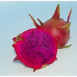 Vendita Online Hylocereus American Beauty Pitaya (Dragon Fruit)