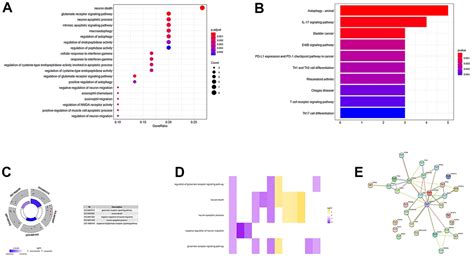 Establishment And Validation Of Individualized Clinical Prognostic