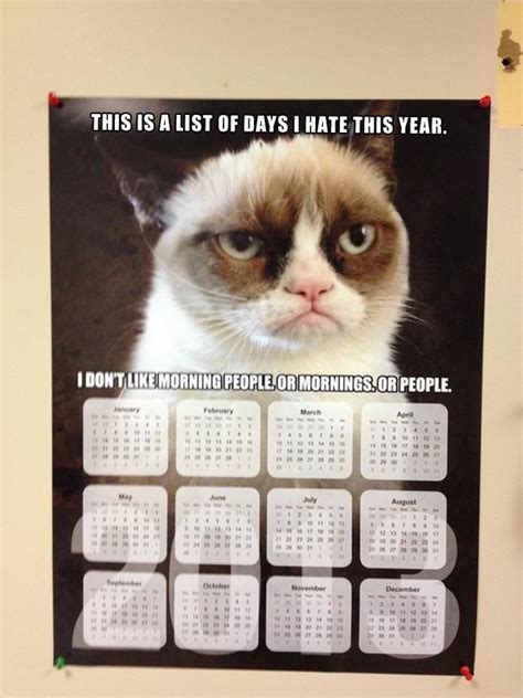 Grumpy Cat Funny Calendars Dump A Day