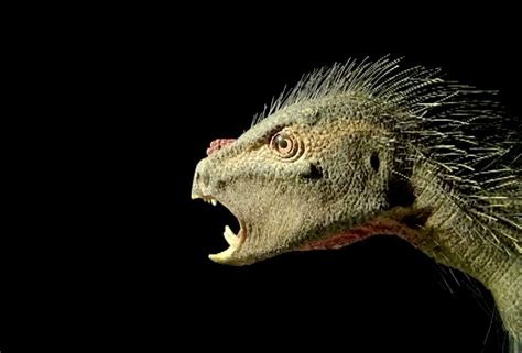 Pegomastax Dinosaur Had A Beak Bristles And Fangs