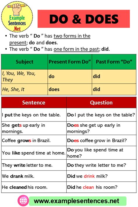 Using Do And Does And Example Sentences Example Sentences