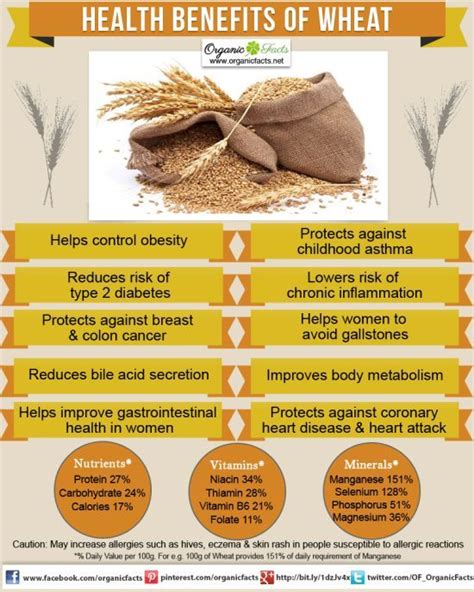 Health Benefits Of Wheat Abundant Health Health Benefits Health
