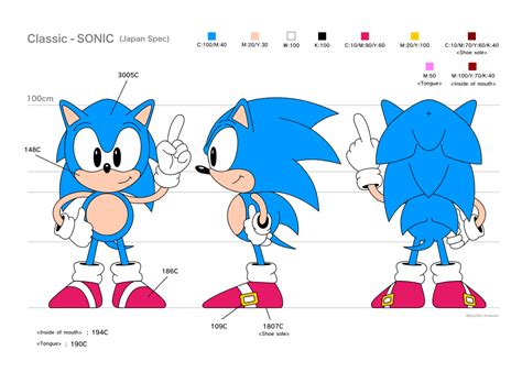 Sonic The Hedgehog 3 Point Turn Includes Proportions Sizes And Color