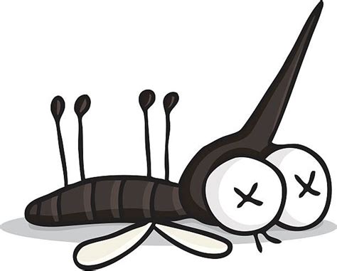 Dead Fly Illustrations Royalty Free Vector Graphics And Clip Art Istock