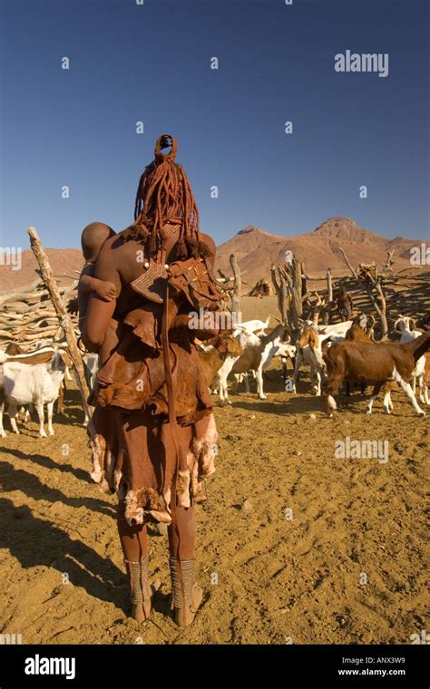 Namibia Skeleton Coast Himba Tribe In Dailing Activities Stock Photo