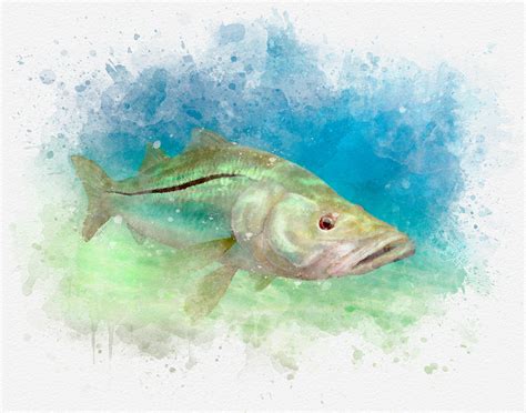 Snook Art Print Watercolor Style Wall Decor A Great Snook Fisherman
