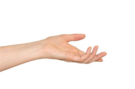 Hand Outstretched Palm Up Stock Photos Pictures And Royalty Free Images