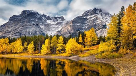 Top Spots Across Canada To Take In Breathtaking Fall Foliage Cbc Life