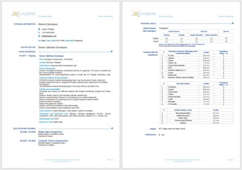 Europass, cv, template, free, form, word, doc, pdf description: Which CV template should an IT professional use? - Sprint CV