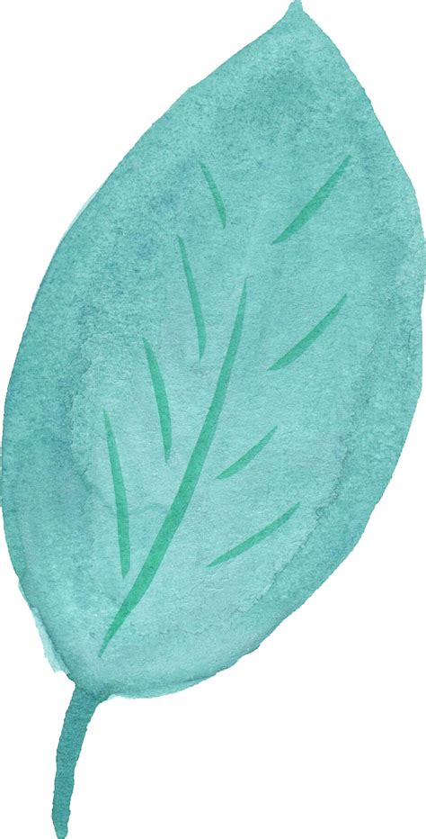 25 Watercolor Leaf Png Transparent Vol 3
