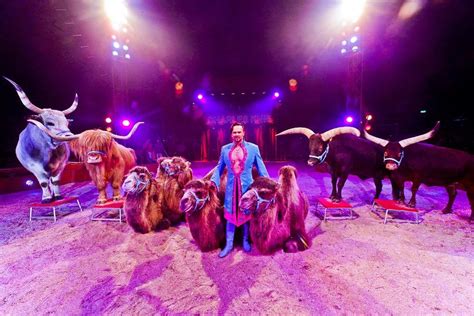 Zirkus Charles Knie Kommt Europas Top Zirkus Zu Gast In Flensburg