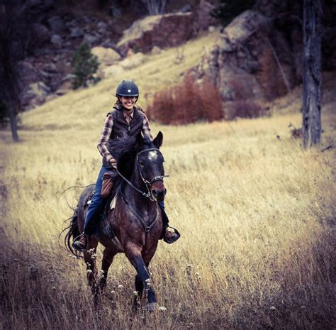 Riding A Nokota Horse Pony Breeds Horse Breeds Theodore Roosevelt