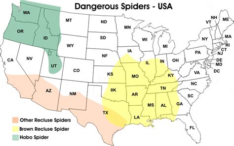 Usa Dangerous Spider Map Spiderzrule