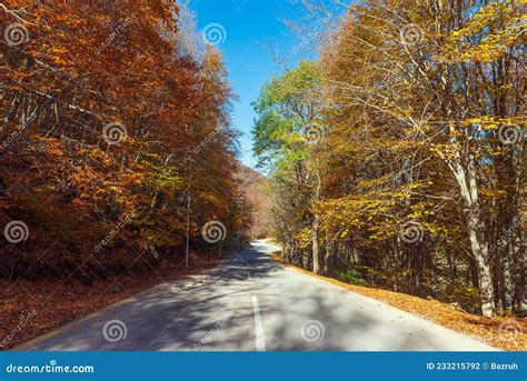 Asphalt Road Between Autumn Trees Stock Photo Image Of Country Empty