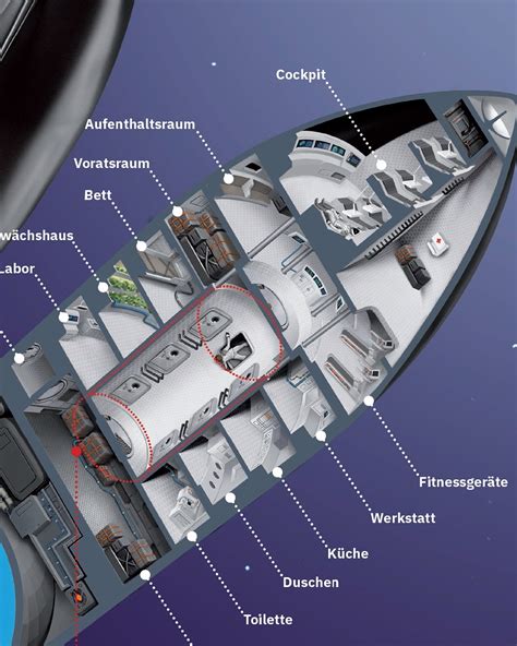 Cutaway Diagram Of Spacex Starship Human Mars