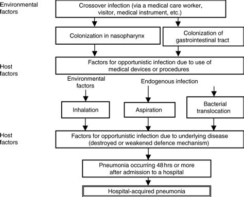 Definition And Pathophysiology Of Hospital‐acquired Pneumonia 2004 Respirology Wiley