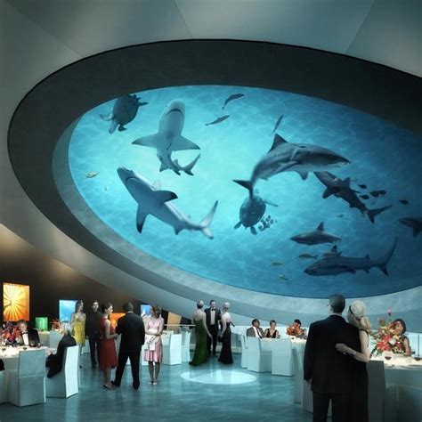 Shark Filled Atrium Miami Science Museum Miami Florida Science