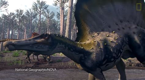 Spinosaurus A Dinosaur Thats Bigger Than T Rex The Kid Should See This