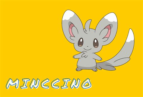 Minccino Guide The Cute Chinchilla Pokemon Pok Universe
