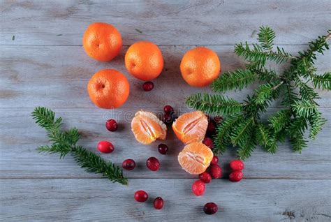 Tangerine And Cranberry Fruit Stock Photo Image Of Mandarin