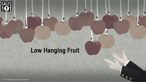 Low Hanging Fruit Sales101