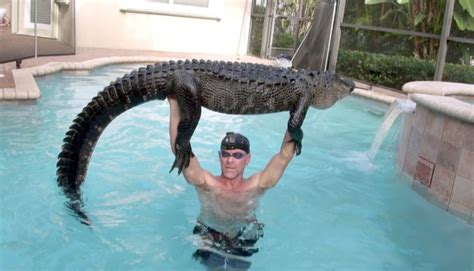 Weird Floridaalligators Pricey Bananas And Naked People — What A State