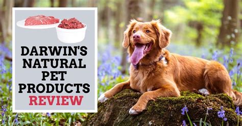 Darwins Natural Pet Products Review Dog Endorsed