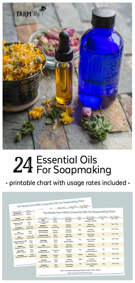 24 Essential Oils For Soap