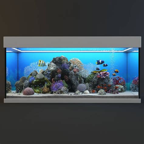 Aquarium 2 Download The 3d Model 19423